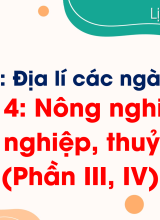 Bài 4. Nông nghiệp, lâm nghiệp, thuỷ sản (Phần III, IV)